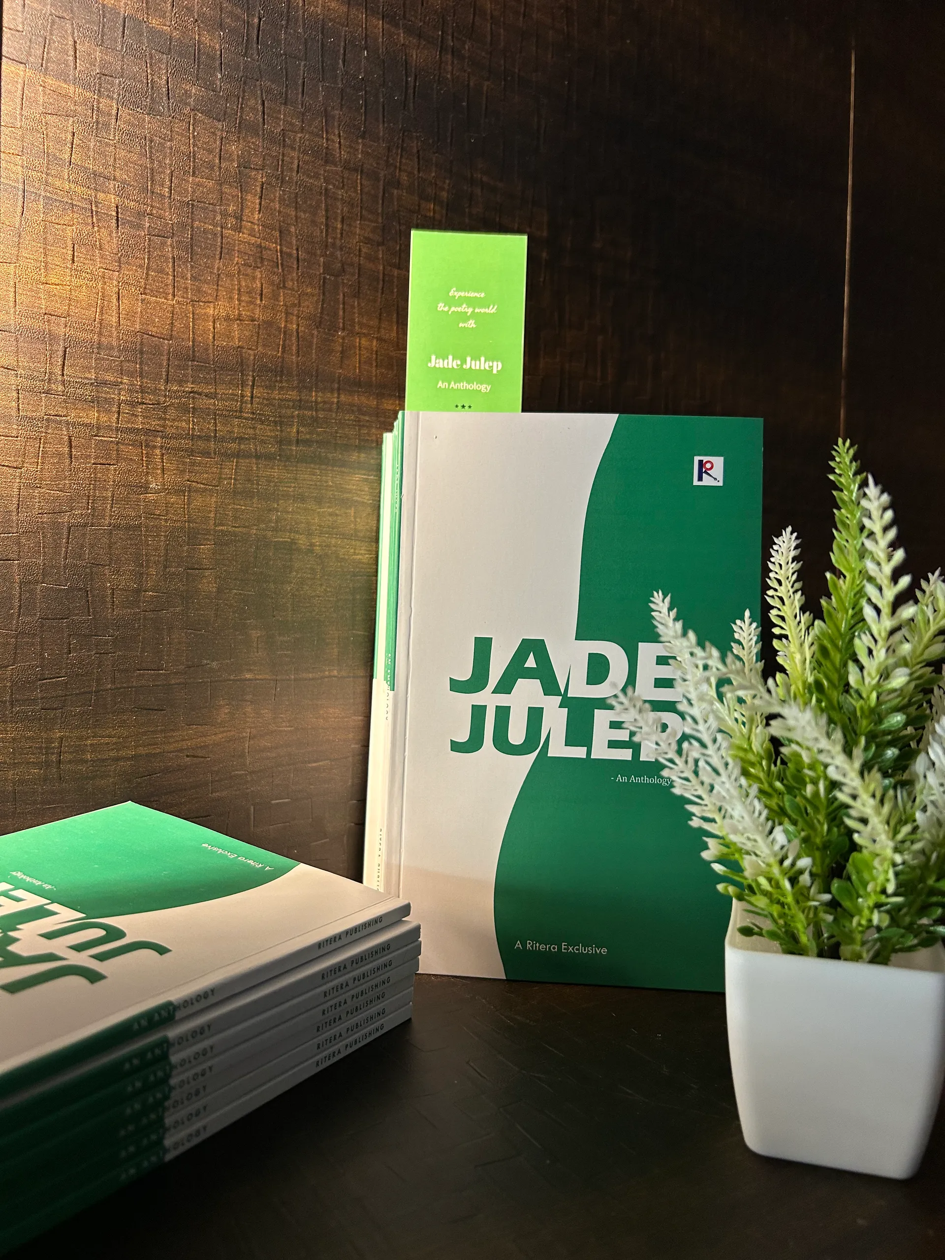 Published book cover